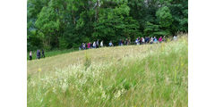 Pilgerandacht auf dem Hasunger Berg (Foto: Karl-Franz Thiede)